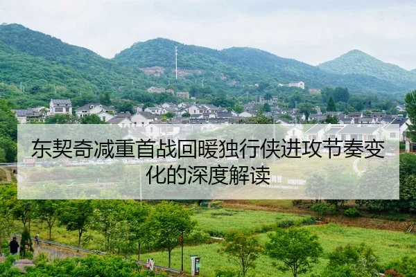 东契奇减重首战回暖独行侠进攻节奏变化的深度解读 - Tophub